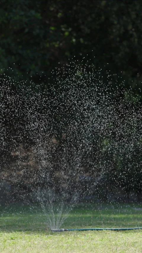 Camera tracking on lawn sprinkler Stock Footage 311552200
