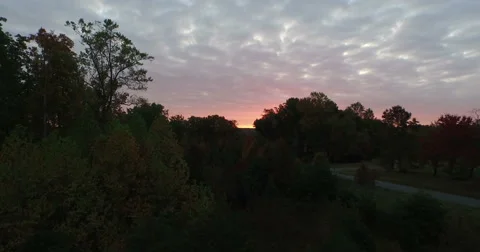 Camera Tracks over Trees Toward the Rising Sun Video stock 56269405