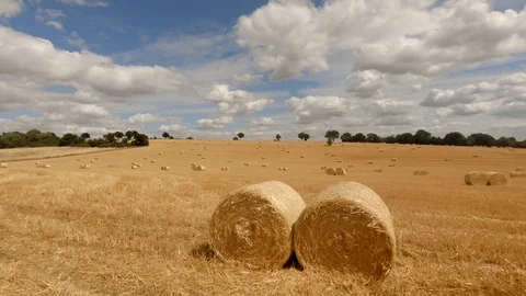 Camera tracks passed rolled hay bales 動画素材 93457059