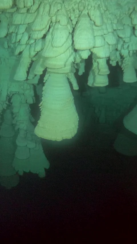 Camera tracks past dense Hells Bells beneath a cenote ceiling Stock Footage 341396052