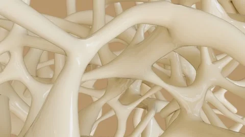 A camera tracks through a dense labyrinth of internal bone trabeculae Stock Footage 333119125