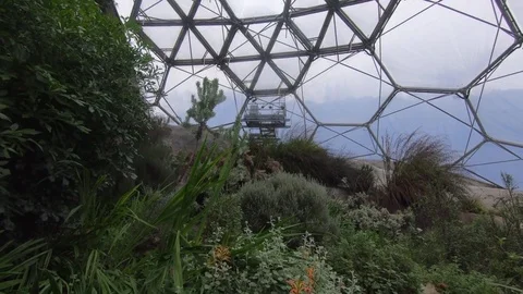 Camera tracks through tropical plants in a geodesic dome 動画素材 85362371