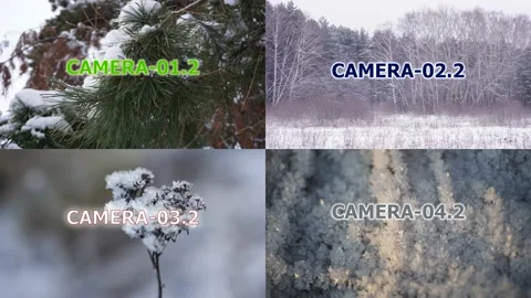 Camera Transitions-01. Alfa Channel. MOV 29,97fps Vol.2 4-In-1 (4K&amp;HD) Stock-Footage 147865252