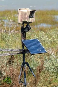 Camera Trap for Game in a Marsh with solar panels Stock Photos