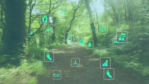 Camera traveling along forest trail, teal icons appearing, shifting parallax, Stock-Footage 331832709