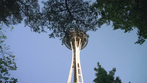 Camera Travels Forward Through Trees to Reveal Space Needle From Below Stock Footage 345157260