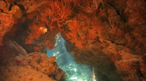 Camera travels inside the cave Stockbeeldmateriaal 22643201