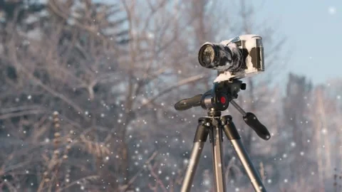 Camera on a tripod close up in the winter forest in the snow Stock Footage 99181784