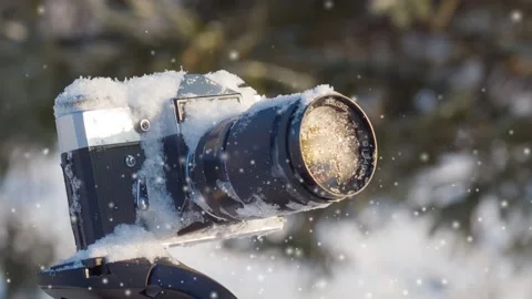 Camera on a tripod close up in the winter forest in the snow Stock Footage 99182254