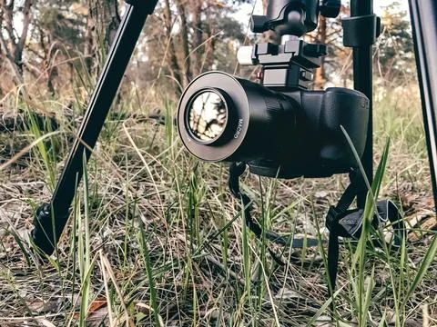 Camera on tripod in forest grass, outdoor photography setup Fotos de archivo