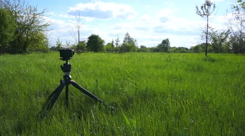 The camera on a tripod in nature Stock Footage 50877862