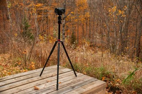 Camera On A Tripod Ready For Autumn Forest Photography or Videography Foto stock