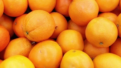 Camera trucks over vibrant oranges Stock Footage 70726549