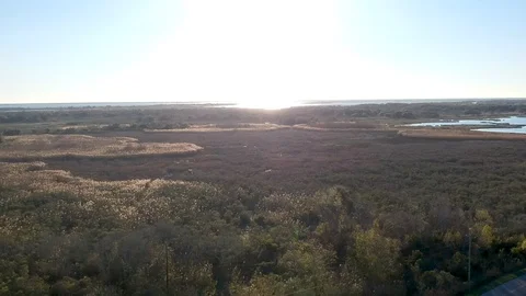 Camera turning for sweeping view of bayou marshlands on clear day Stock Footage 101304903