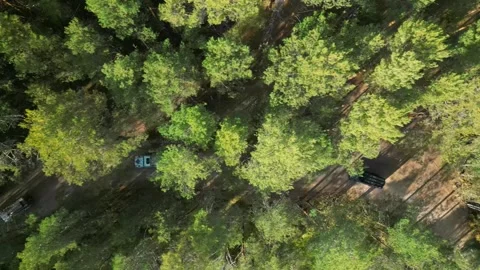 Camera turns along with the turn of the road following the cars in the forest Stock Footage 252132481