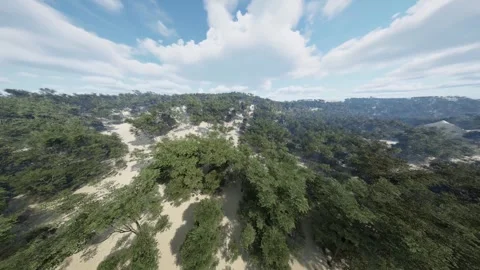 The camera turns and sees the boundless thickets of the forest. Stock Footage 270044757