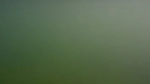 The camera is underwater Stock Footage 159094950