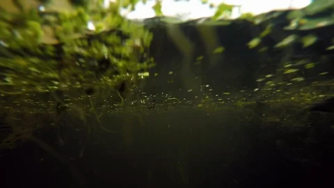 Camera Underwater of River Stock Footage 107635958