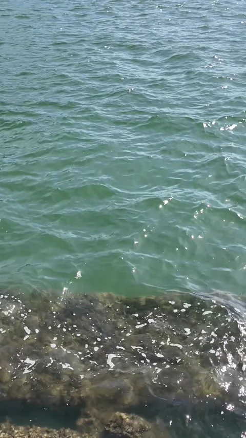 Camera video of gentle sea waves hitting a rock shore in daylight Stock Footage 325650218