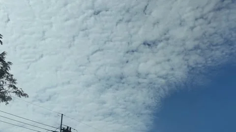 Camera video of tree branches with cloudy ripple sky in background Stock Footage 325720457