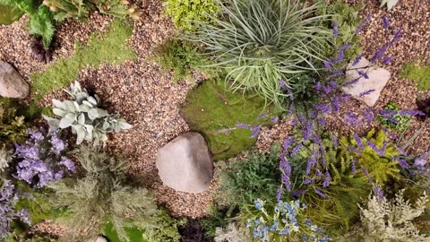 Camera video of vertical garden with mixed greenery Stock Footage 325560633