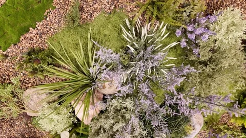 Camera video of vertical garden with mixed greenery Stock Footage 325560660
