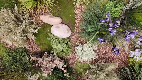 Camera video of vertical garden with mixed greenery Stock Footage 325560664