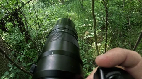 Camera view from photographers eyes pushing through overgrown trail, forest.. Stock-Footage 314110351