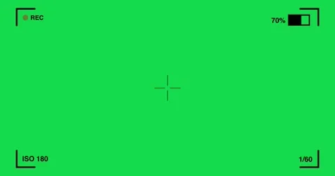 Camera viewfinder with blinking red icon. Camera recording screen on green backg Stock Footage 326228461