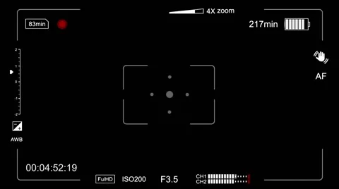 Camera viewfinder display animation Stock Footage 59891883
