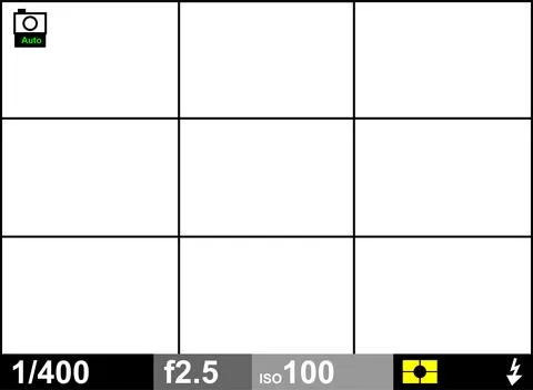 Camera viewfinder overlay with grid lines, showing settings shutter speed, .. 스톡 일러스트