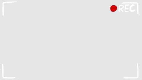 Camera viewfinder REC recording effect Stock-Footage 151393543