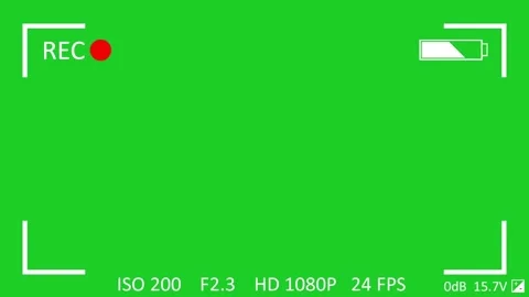 Camera viewfinder recording overlay with green screen background and battery sta Stock Footage 329964981