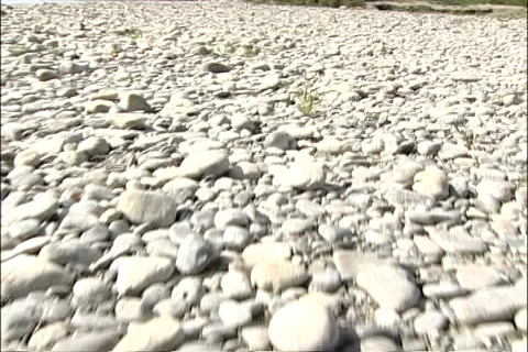 Camera Walking over Rocky Dry Riverbed Stock Footage 121524778