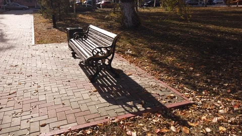 The camera walks past a park bench, approaches the city lantern. 動画素材 119708485