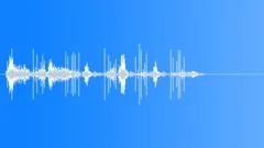 CAMERA WINDING (Sound Effect) Sound Effect