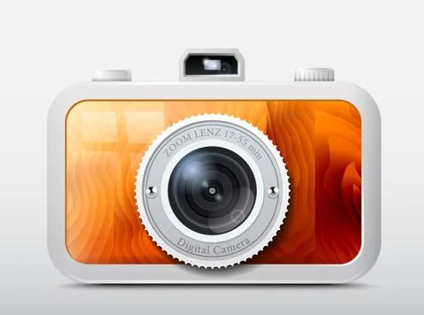 Camera wooden case, vector 스톡 일러스트