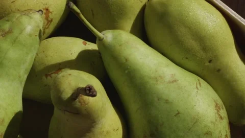 Camera zoom in on assortment of pear varieties in wooden crate 스톡 동영상 346903353