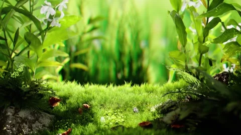 Camera zoom out from the sunlit forest glade Video stock 172303051