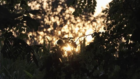 Camera zoom in at sunset Video stock 116502230