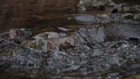 Camera zooming into cascading creek Video stock 260838745