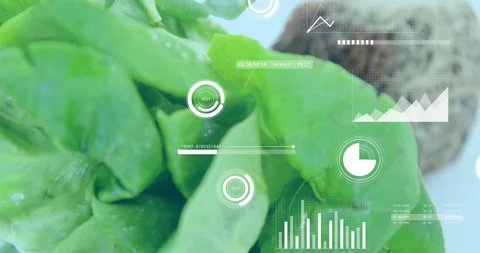 Camera zooming toward leaves, root plug receding, HUD charts animating over Stock Footage 334115245