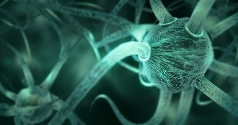 Camera zooms around Neurons Stock Footage 73303570