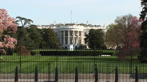 The camera zooms in to a closer look at the White House in Spring Vidéo 439724
