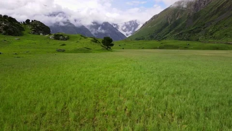 The camera zooms in on a lone tree growing in a mountainous area. Video stock 170855460