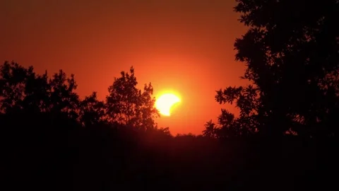 Camera Zooms Toward Partial Solar Eclipse Over Treetops at Dusk Stock Footage 343845467