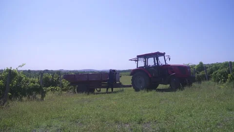The camera zooms in on a tractor with a trailer standing on a fruit, green field Stock Footage 155466531