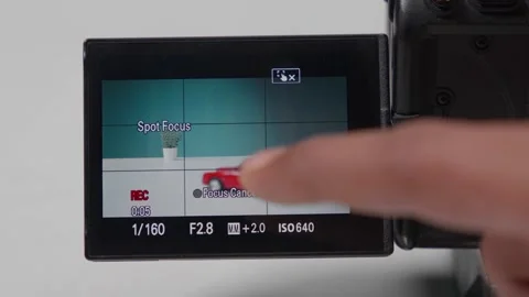 Cameraman Adjusts Focus Through Camera Monitor for Clear, Precise Shot Video stock 290169598