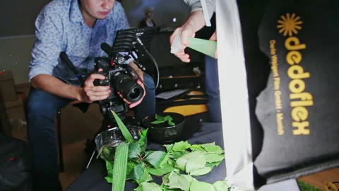 Cameraman and assistant record video of green leaf in water Stock Footage 230035926