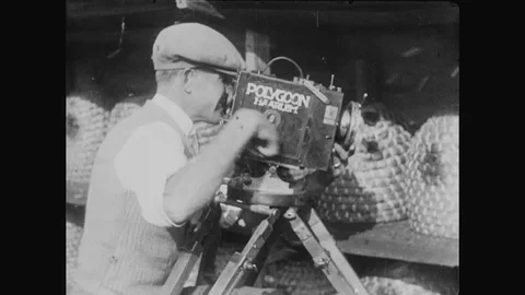 Cameraman Filming Bees Stock Footage 89801796
